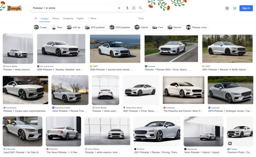 Google image search results' page, with plenty of images matching the query