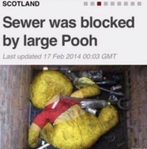 Sewer blocked by Pooh