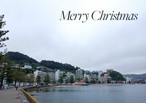 Merry Christmas from Wellington 2021