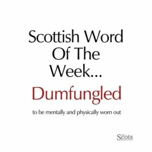 Scottish word of the week—dumfungled