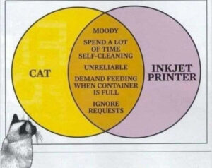 Cat v. inkjet printer